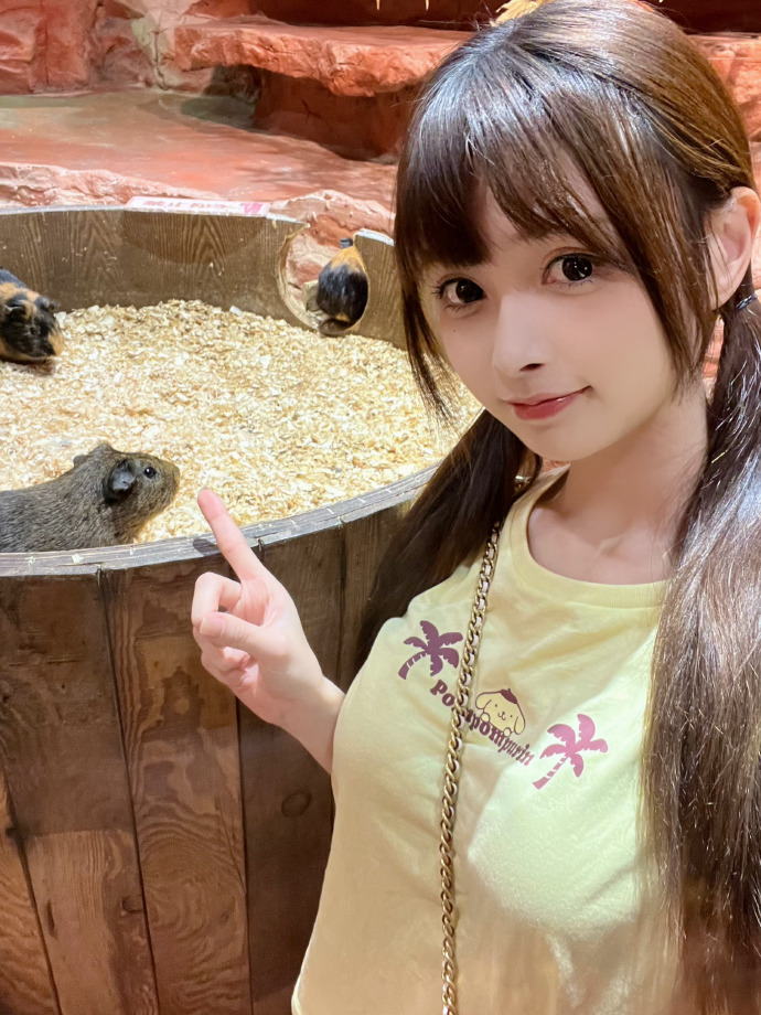 霸王别姬 封面